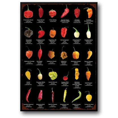 Vintage Kitchen | Peppers & Chillis