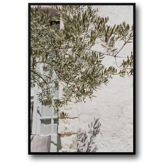 Olive Garden Italy | Echoes of Heritage