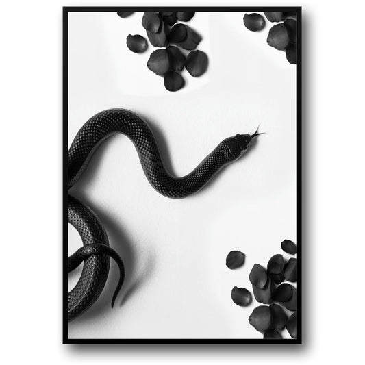 Black Snake Roam | Wildlife Illustration