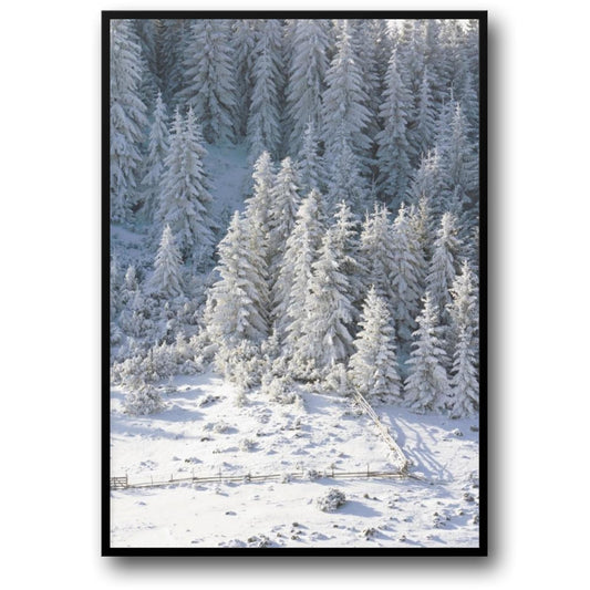 Winter Wonderland | Snowy Forest Scene