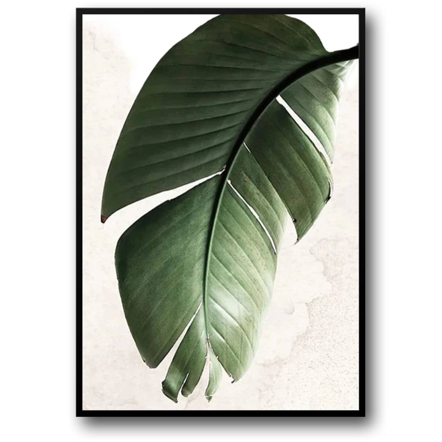 Botanical Balance | Modern Greenery | Green Plant Aesthetic