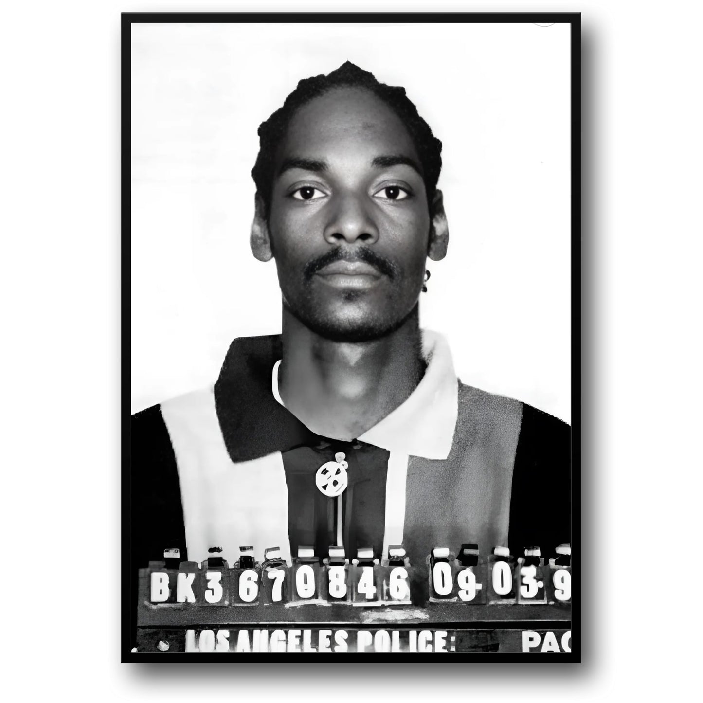 Snoop Dogg Retro Mugshot | Iconic Music Poster