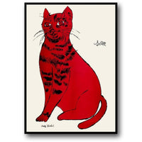 SAM THE CAT