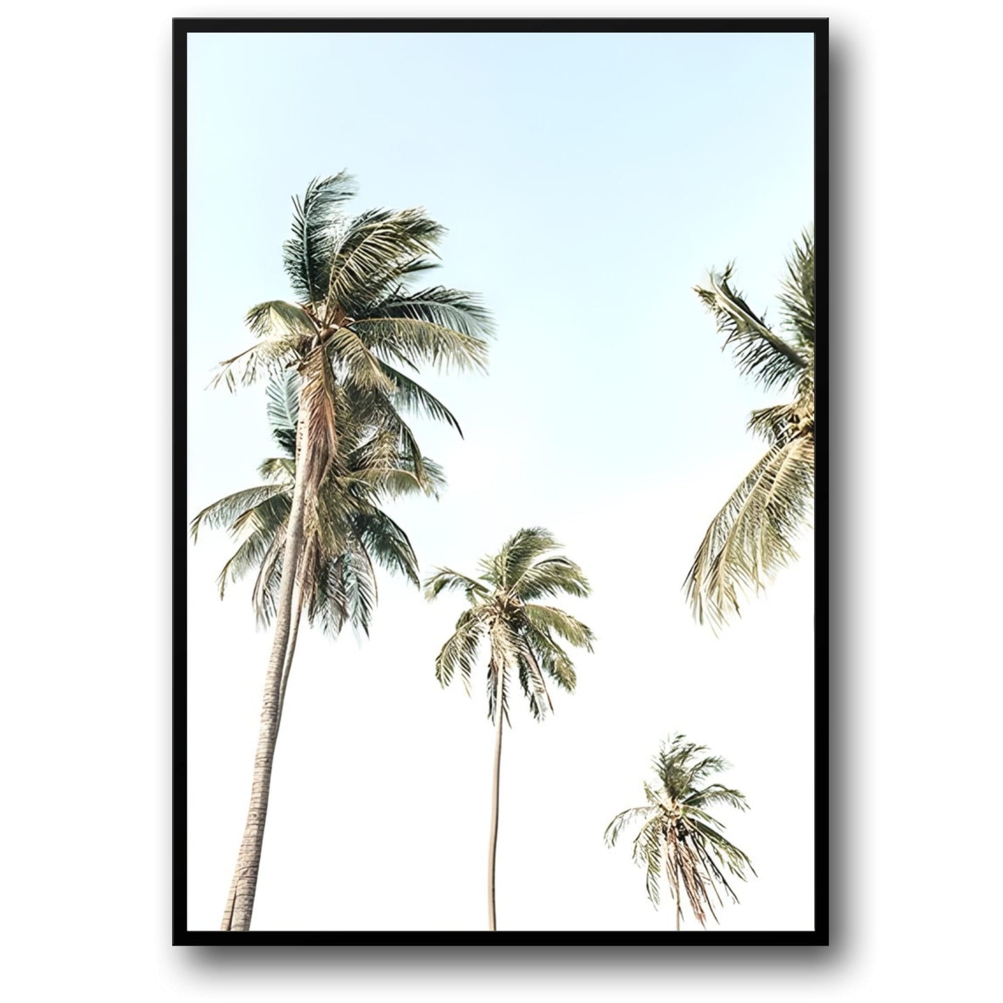 Tropical Beach Sunset | Coastal Landscape