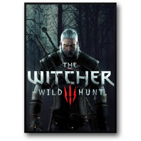 THE WITCHER WILDHUNT