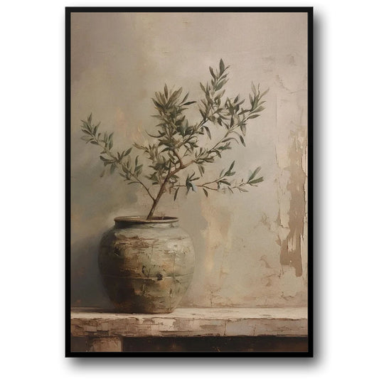 Vintage Italy Olive Farm | Earthy Stillness