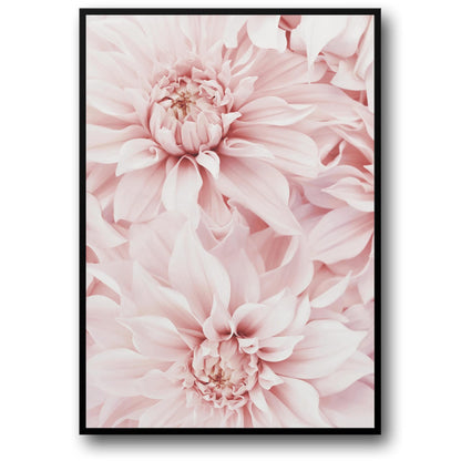 Pink Dahlia Bloom | Floral Artwork