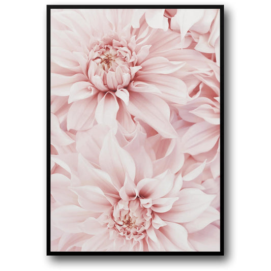 Pink Dahlia Bloom | Floral Artwork