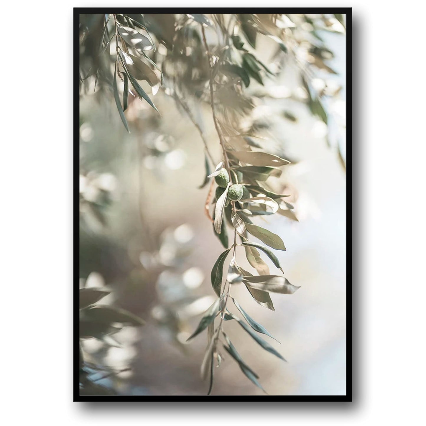 Olive Garden Italy | Scenic Landscape | Italian Countryside