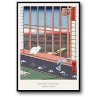 CAT IN THE WINDOW