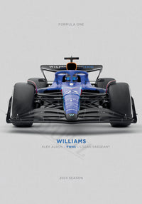 WILLIAMS DUO FW45