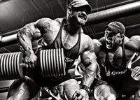 SINGLE ARM ROWS