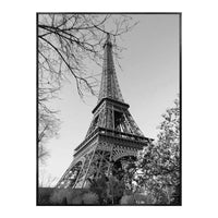 TIMELESS GRANDEUR OF PARIS
