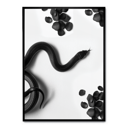 Black Snake Roam | Wildlife Art Print | Nature Illustration Poster | Wall Decor | Home Decoration | Snake Artwork | Animal Poster