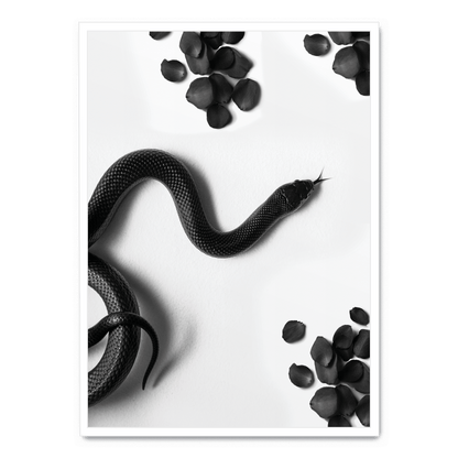 Black Snake Roam | Wildlife Art Print | Nature Illustration Poster | Wall Decor | Home Decoration | Snake Artwork | Animal Poster