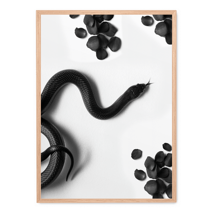 Black Snake Roam | Wildlife Art Print | Nature Illustration Poster | Wall Decor | Home Decoration | Snake Artwork | Animal Poster
