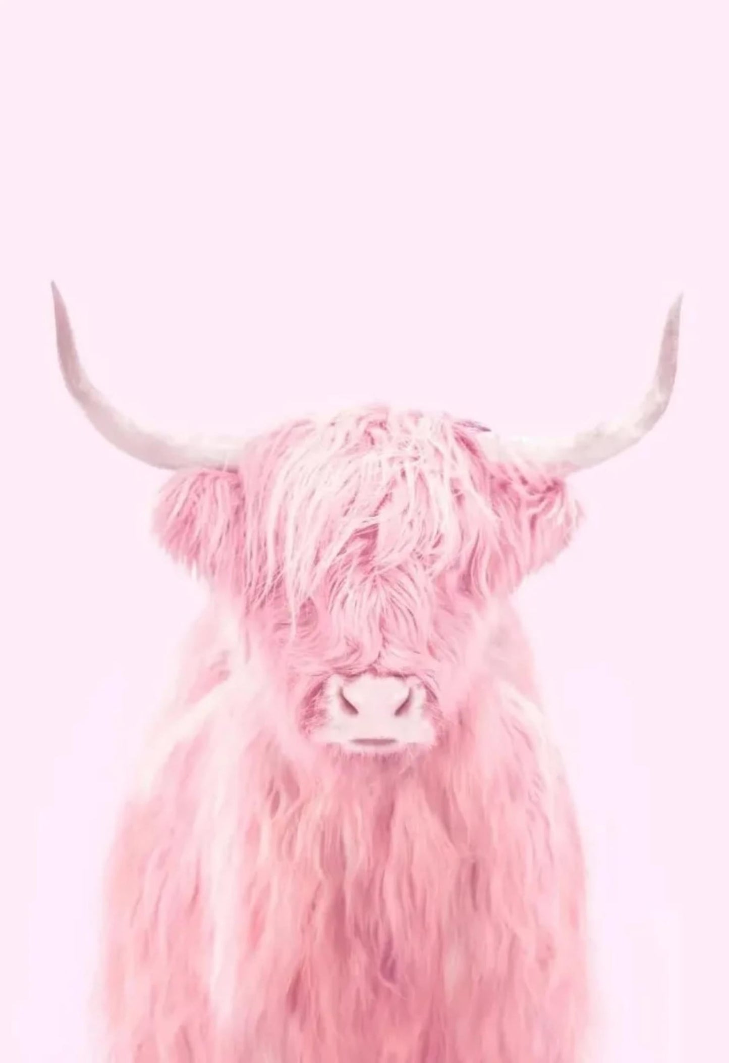 Pink Highland Cow | Fantastical Creatures Art