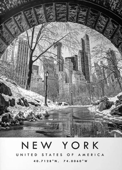 Central Park Bridge | Winter Wonderland NYC