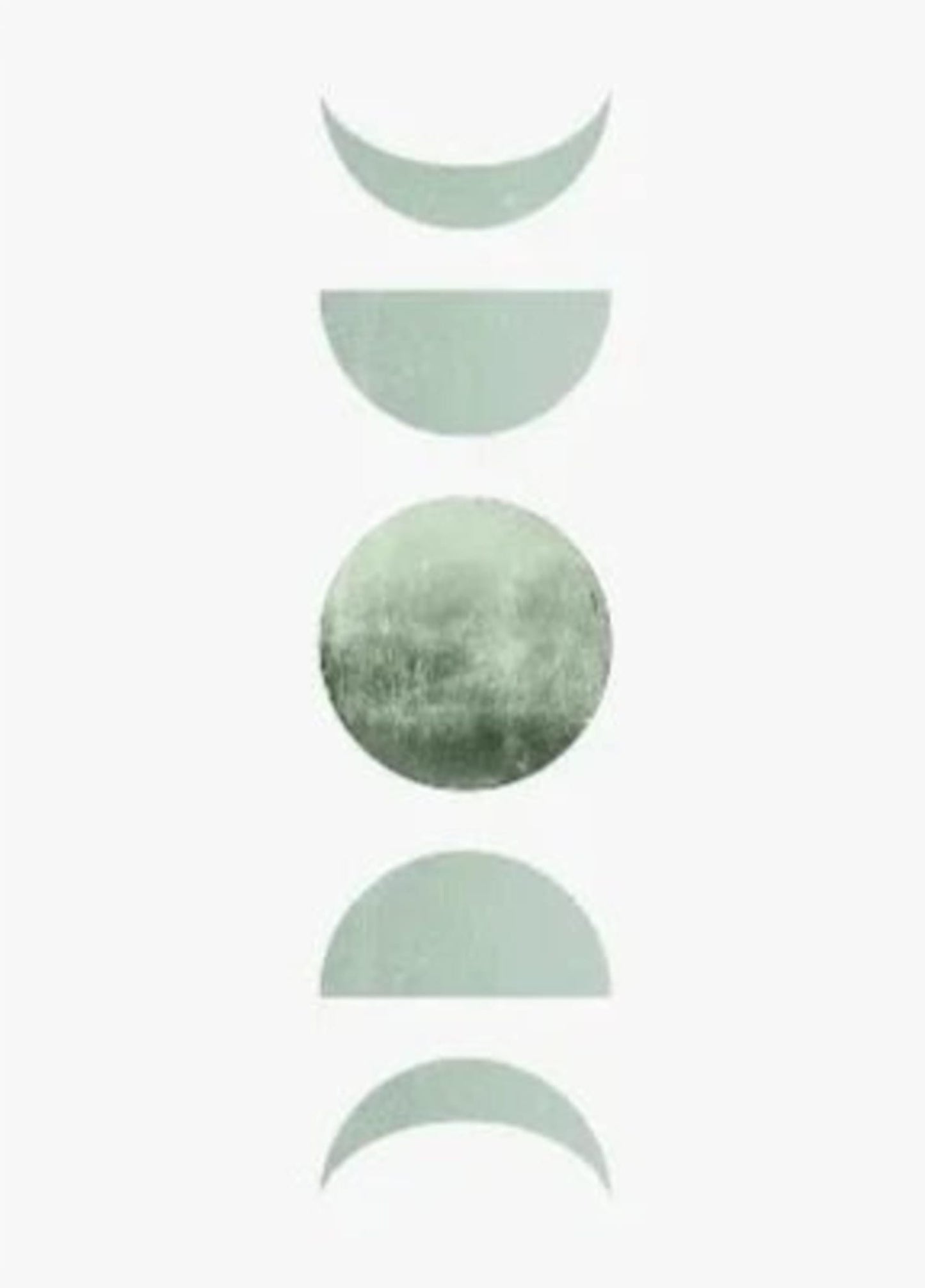 Harmonic Green Botanicals | Modern Nature Art