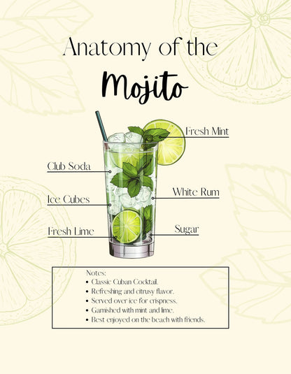Mojito Recipe Guide | Cocktail Anatomy Art