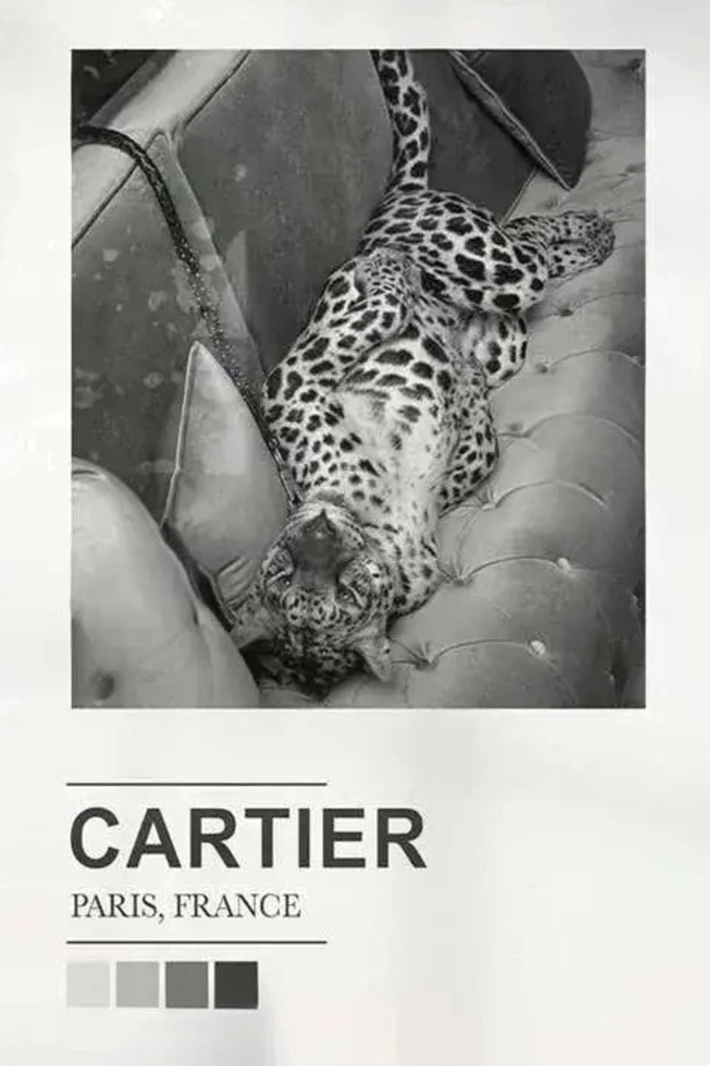 Cartier Exposition Poster | Paris Silhouettes & Skylines | Tribute to Fashion Legends | Parisian Art Prints