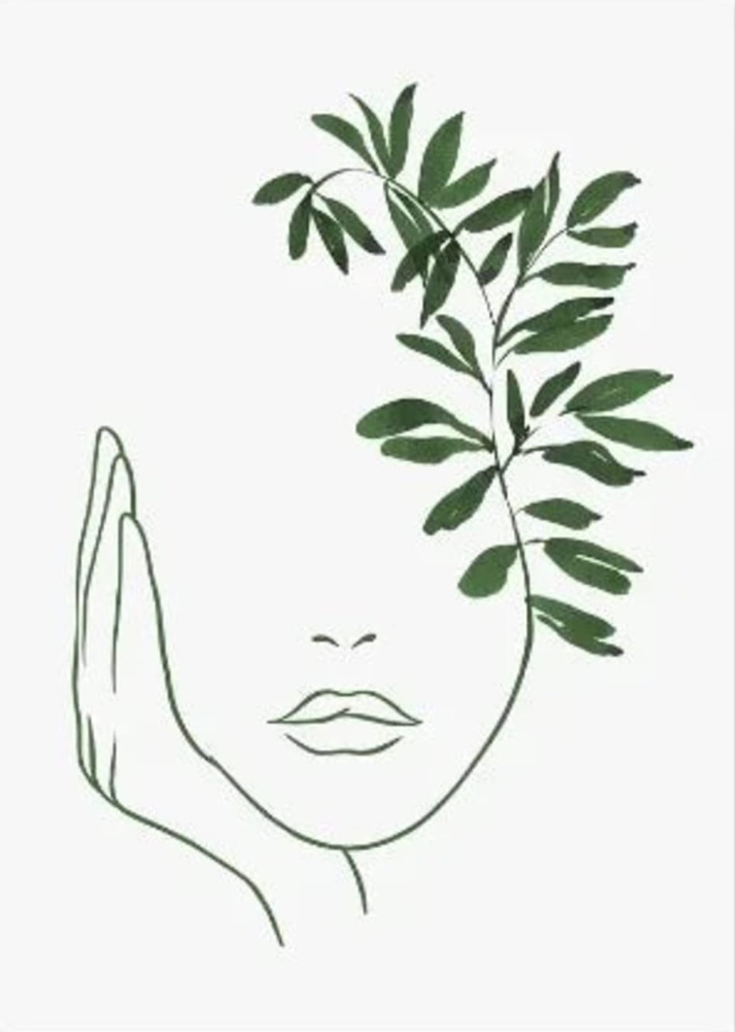 Modern Botanical Harmony | Contemporary Plant Design