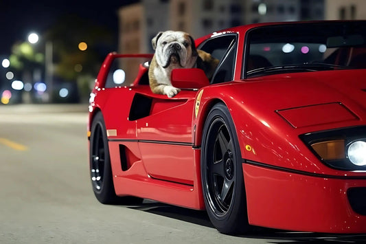 English Bulldog in Ferrari F40 | Classic Car Art