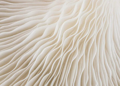 Shapes in Harmony | Artistic Wall Decor | Bold Geometric Poster | Modern Home Decor | Multicolor Art Print