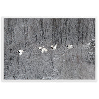 FLYING CRANE FAMILY