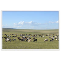 THE STEPPE