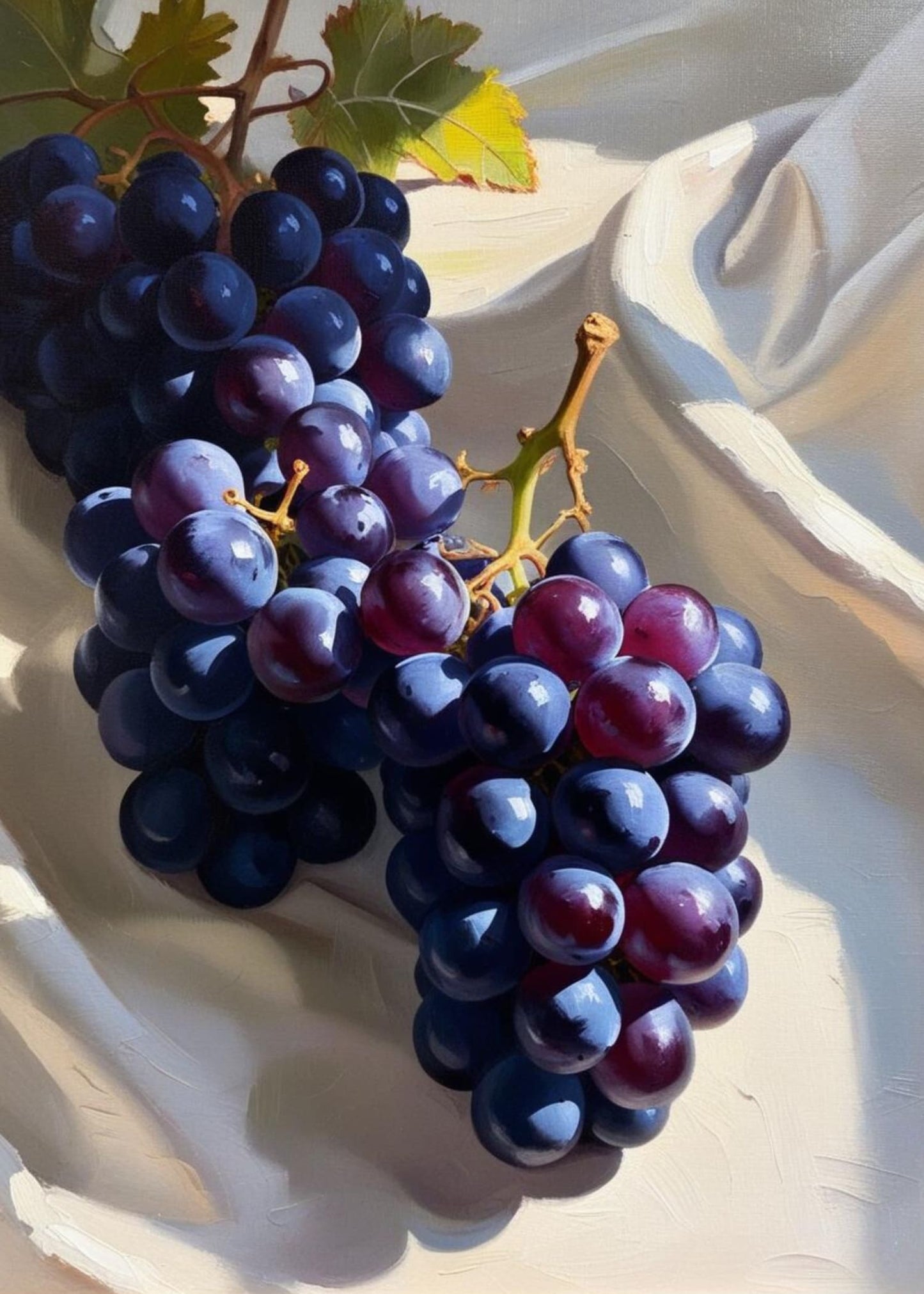 Dark Black Grapes | Elegant Gallery Print