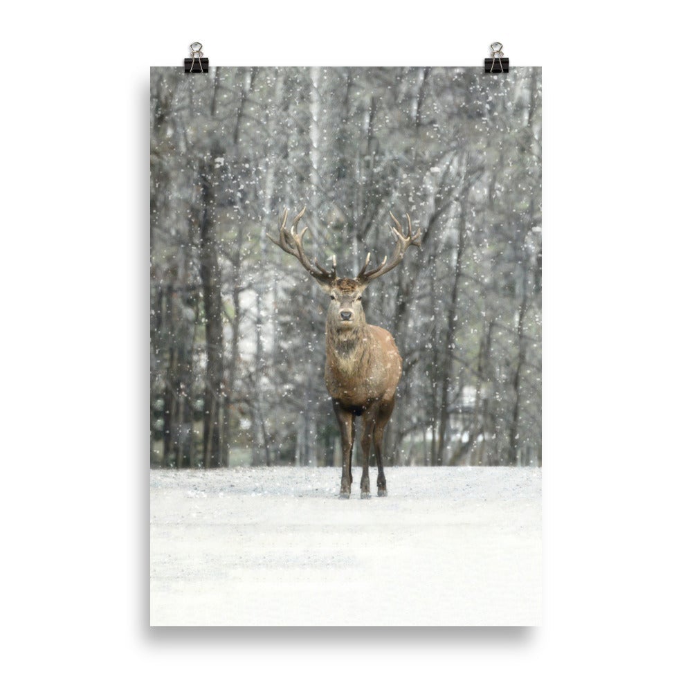 Hi Deer | Winter Editions Poster | Home Decor Artwork | Seasonal Wall Art