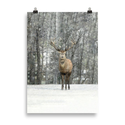 Hi Deer | Winter Editions Poster | Home Decor Artwork | Seasonal Wall Art