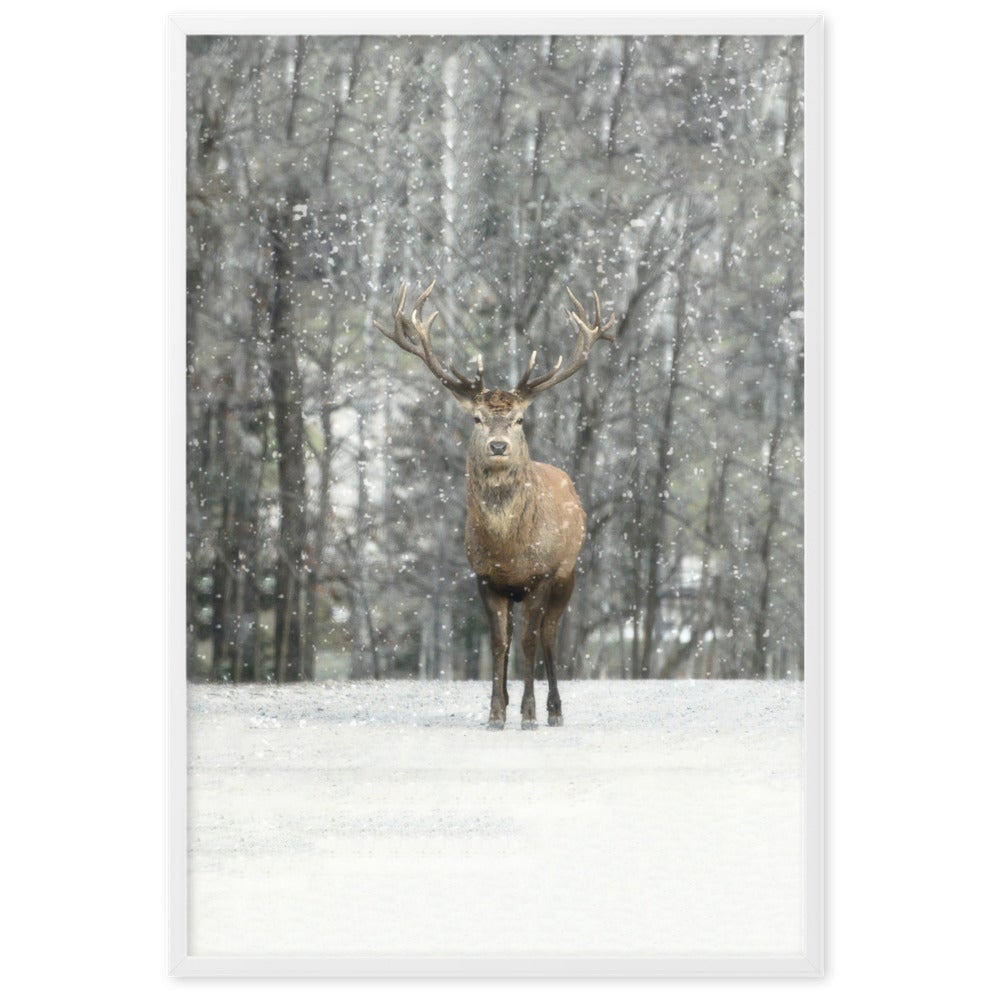 Hi Deer | Winter Editions Poster | Home Decor Artwork | Seasonal Wall Art