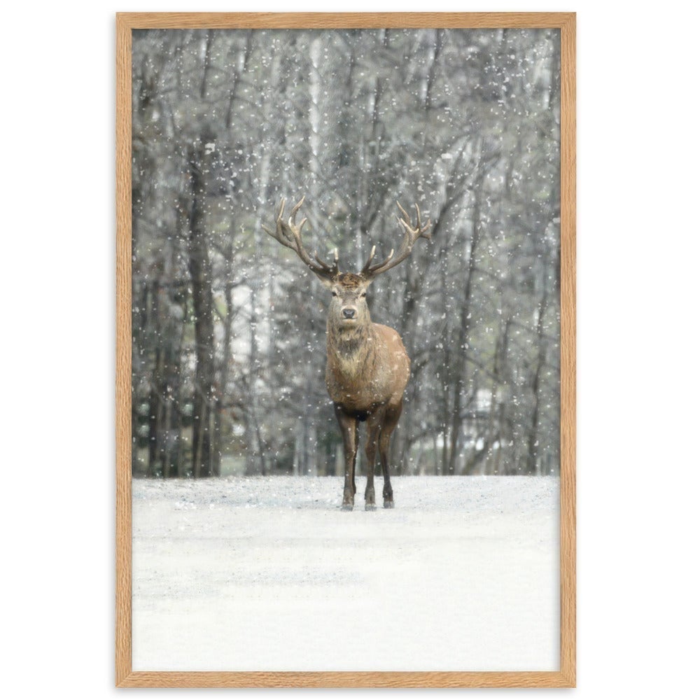 Hi Deer | Winter Editions Poster | Home Decor Artwork | Seasonal Wall Art