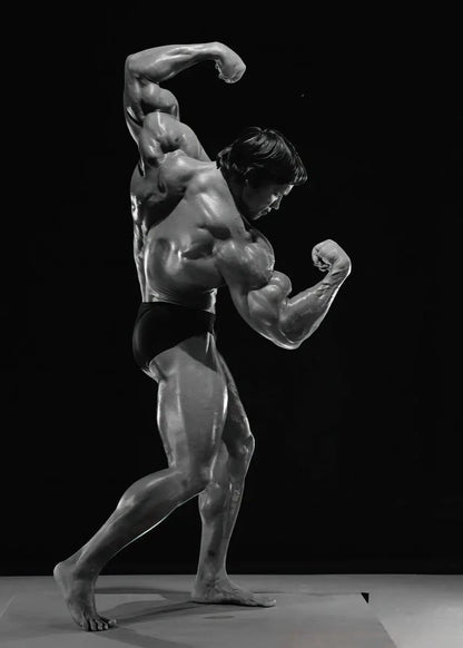 Arnold Schwarzenegger | Motivational Gym Fitness
