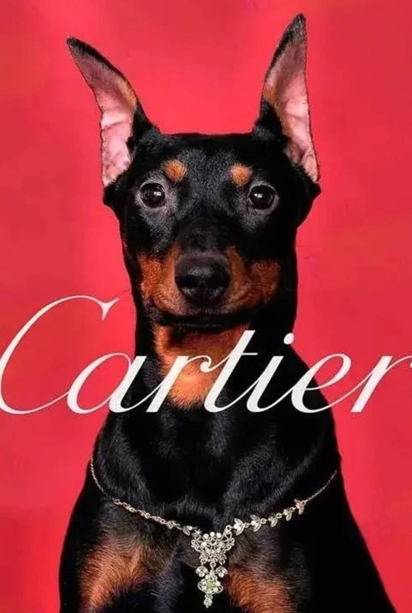 Cartier Dachshund | Red Silhouettes | Paris Fashion Tribute