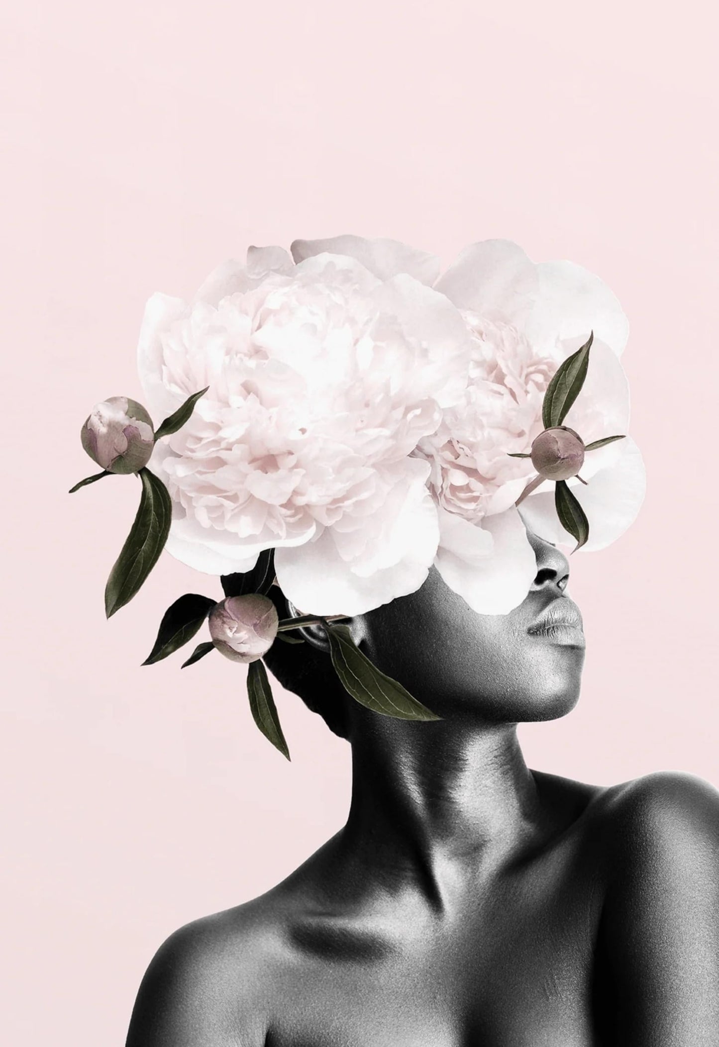 Floral Head | Pink Botanical