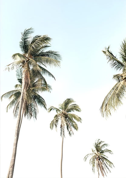 Tropical Beach Sunset | Coastal Landscape